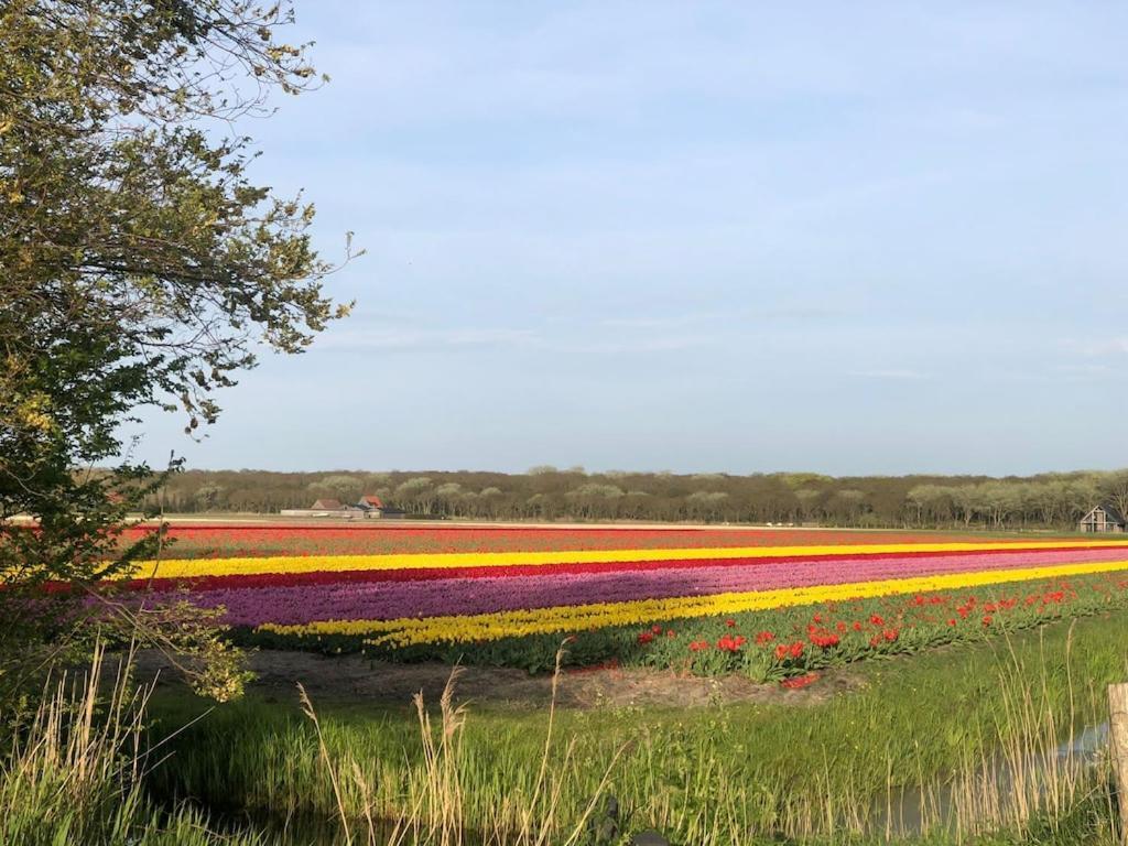 Meno Mosso Villa Sint Maartensvlotbrug Bagian luar foto