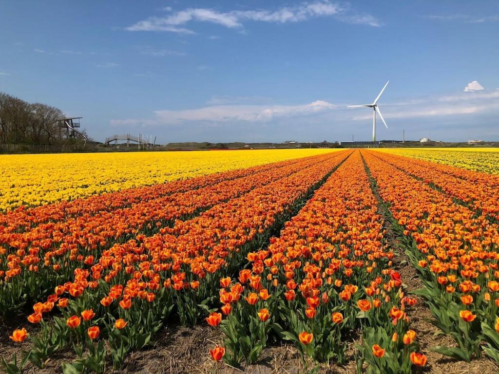 Meno Mosso Villa Sint Maartensvlotbrug Bagian luar foto